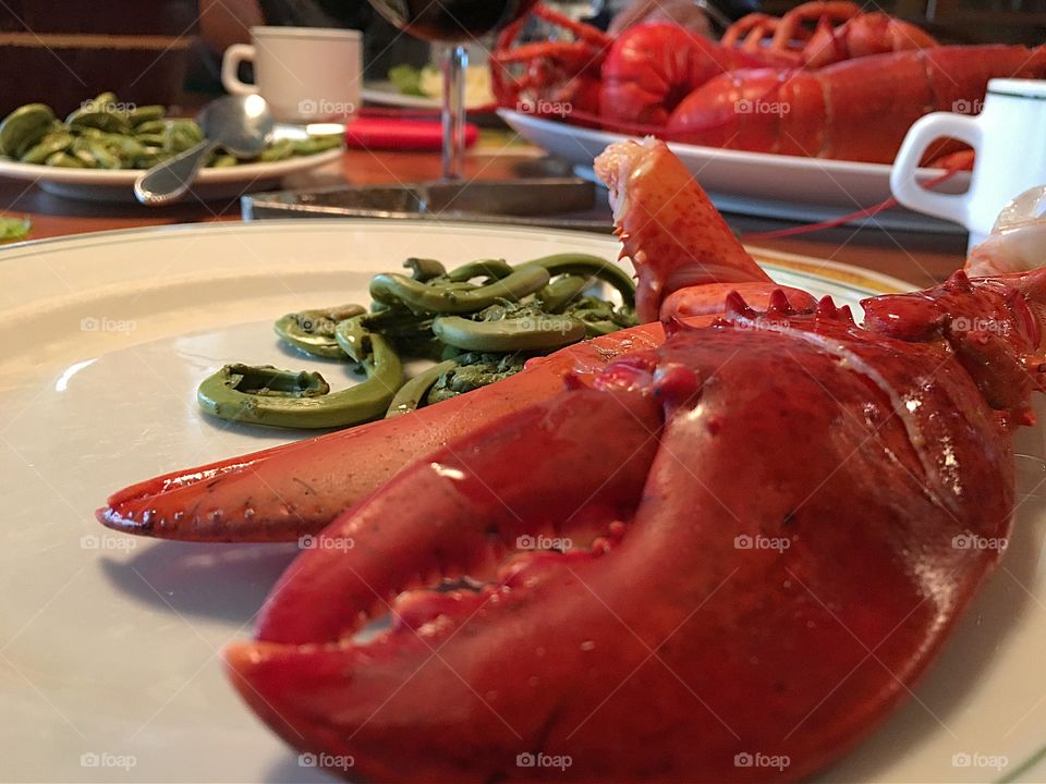 Fresh cooked red lobster, lobster tail with wild organic fresh picked fiddleheads on plate 