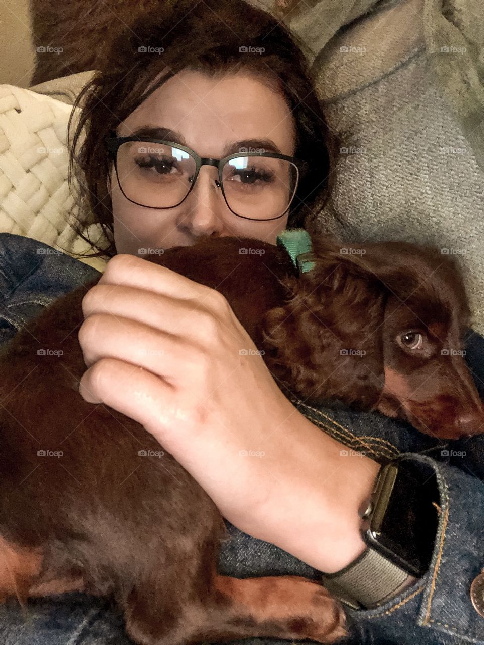 Cute little whisker nugget all curled in! This is an eight week old dachshund puppy that loves to be held. 