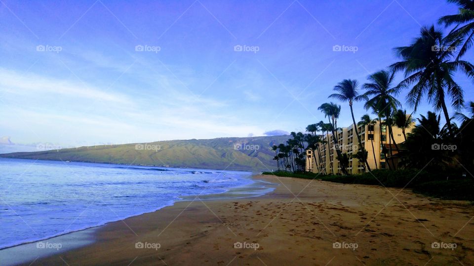 vacationing at the beach