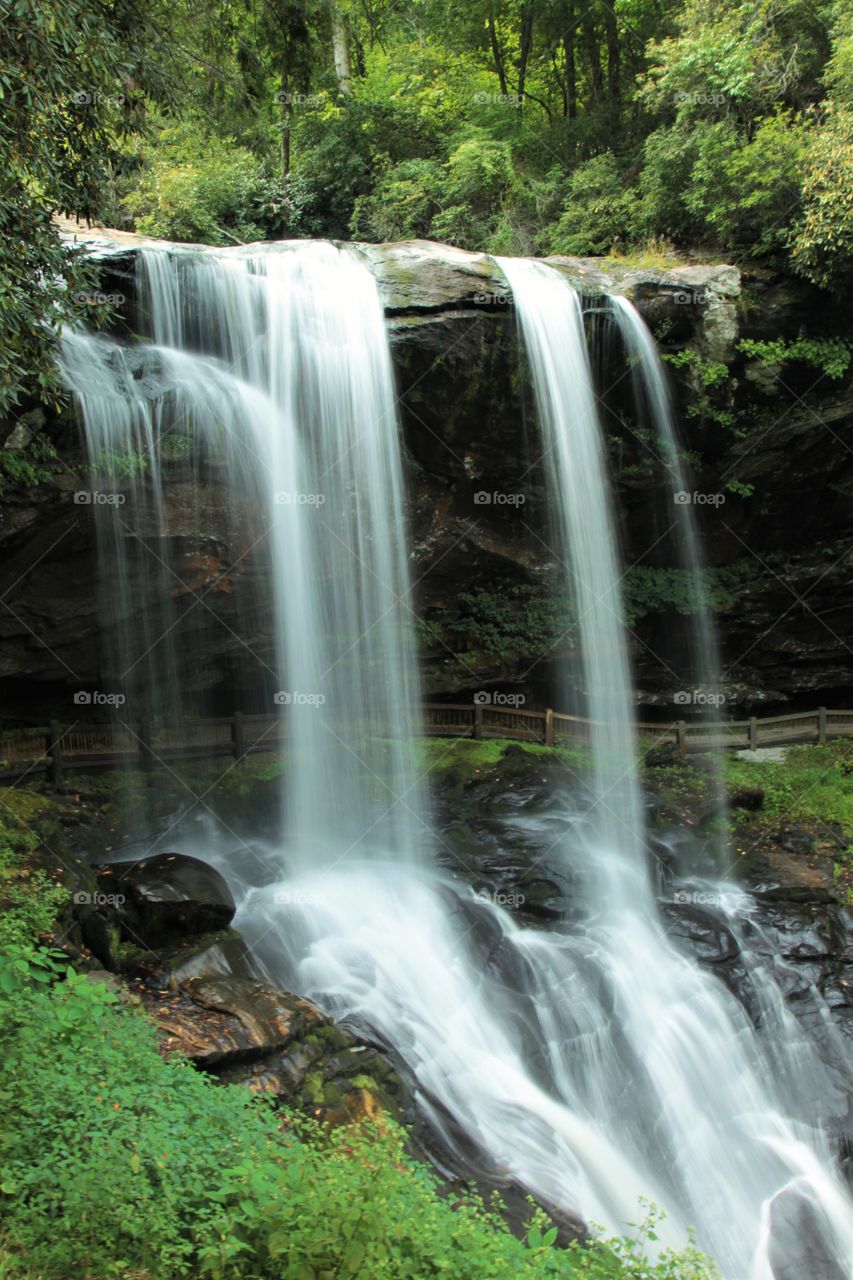 Waterfall in forest