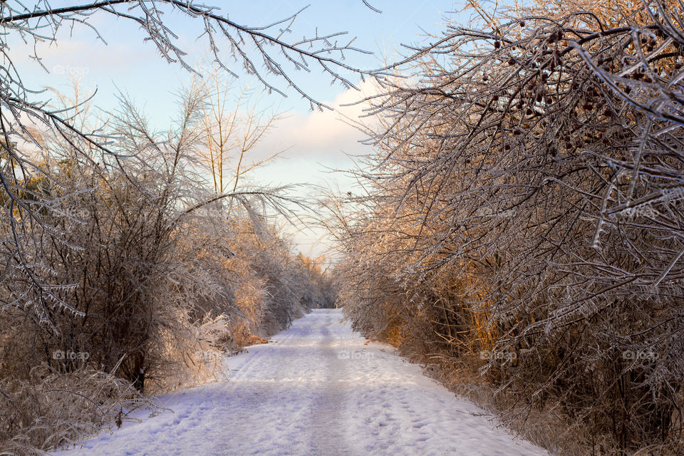 A winter walking trail, covered in ice and snow
