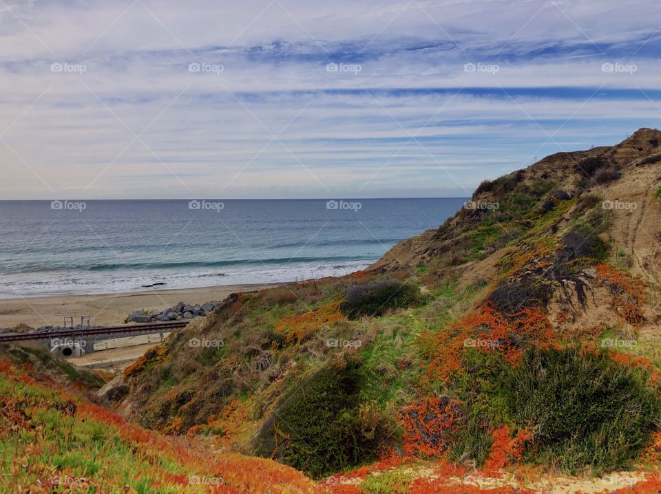 Foap Mission Landscape Shits 2019! Stunning Sand-cliff And Brilliantly Colored Plantscapes of The Local Southern California Coastal Landscapes 