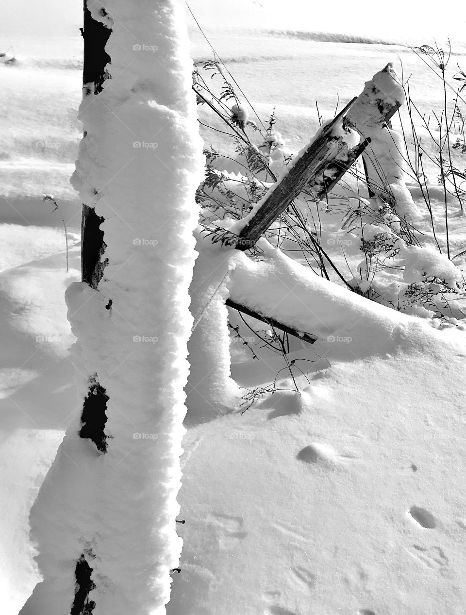 Fence post and snow