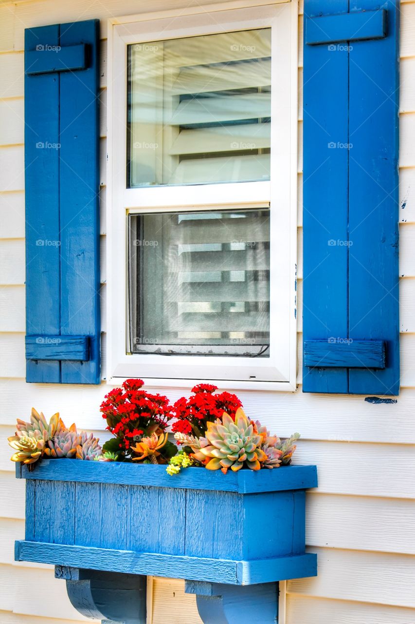 One of a beach house 🏡 