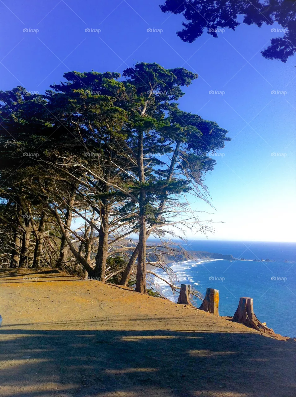 Pacific