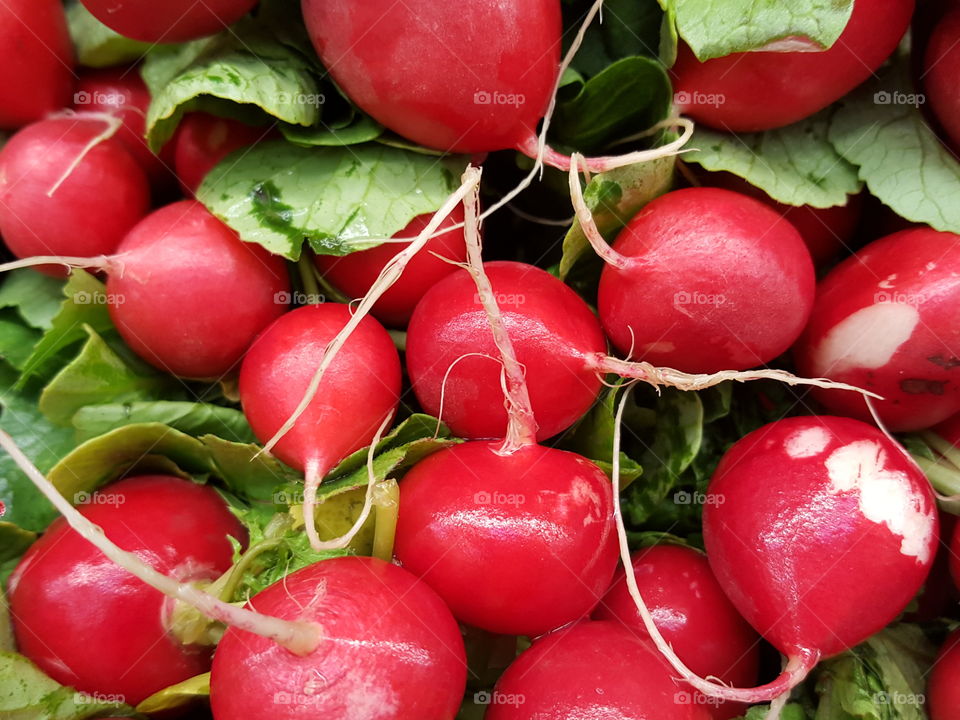 radishes