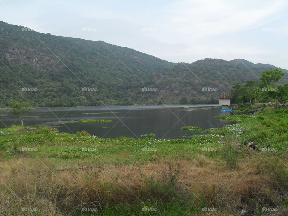Small lake in Sri Lanka