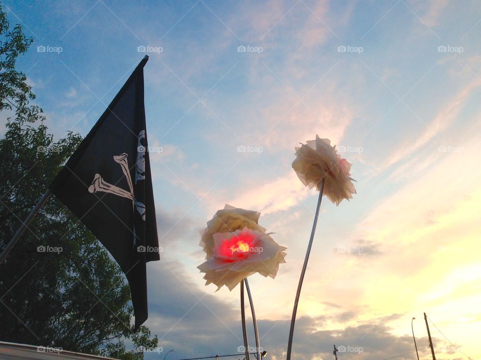 Flowers, pirate et sunset