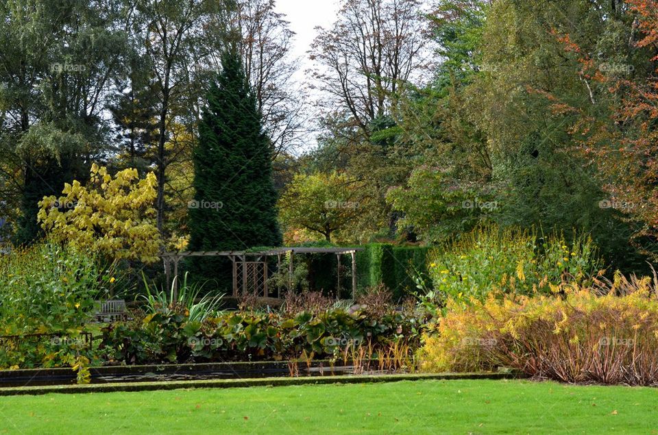 Autumn in a park in Antwerp