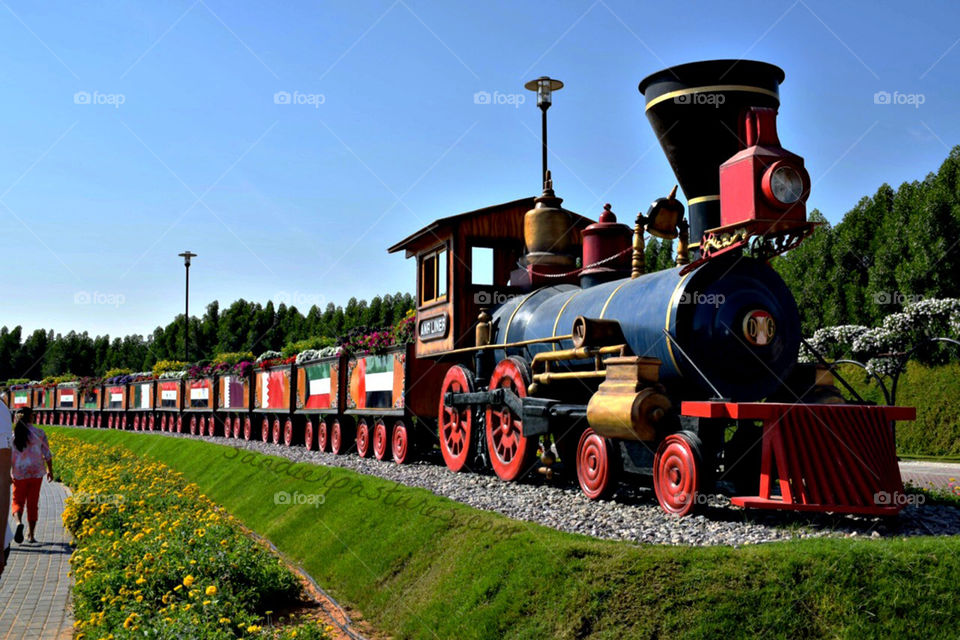 Train in a park
