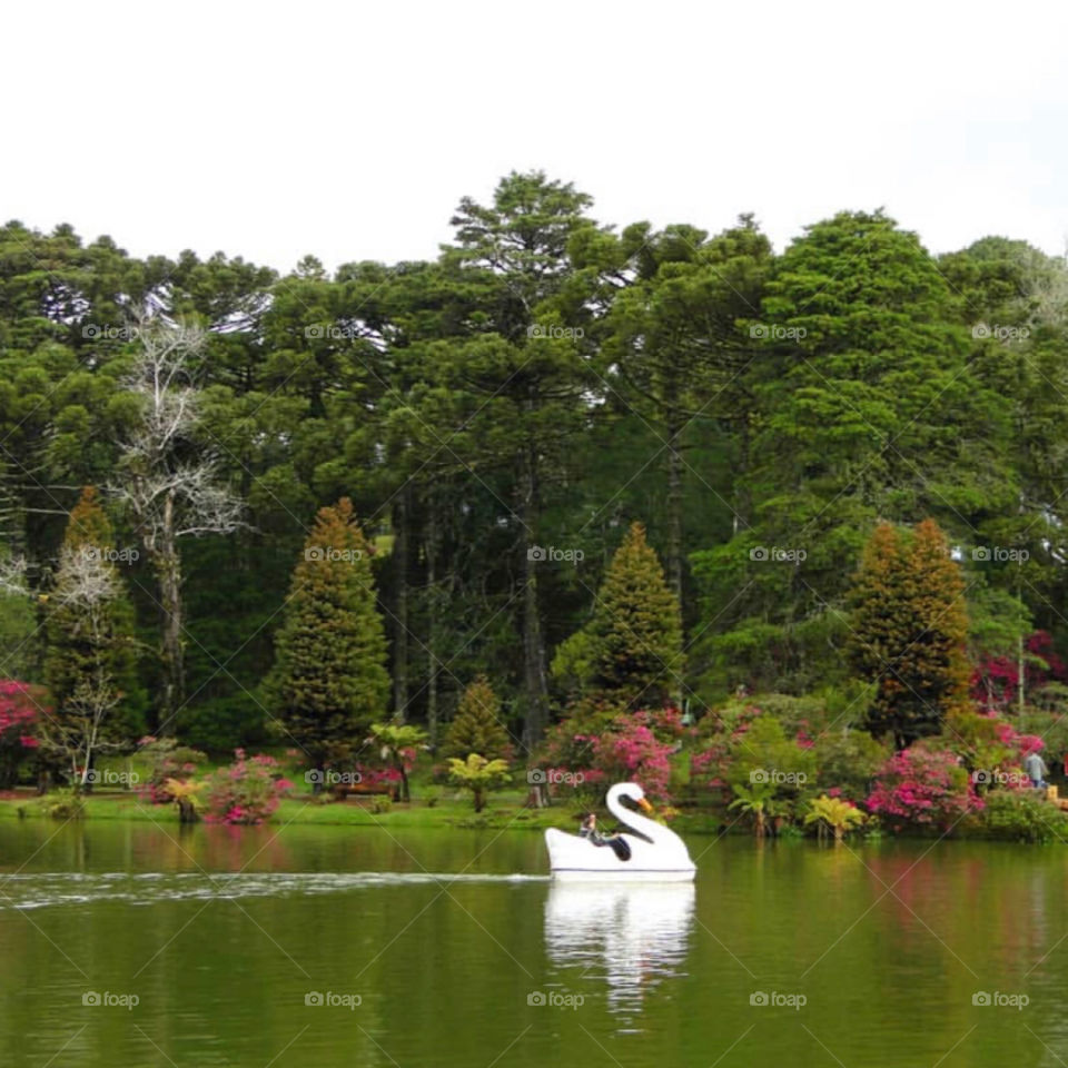 Brazilian lake inside park 