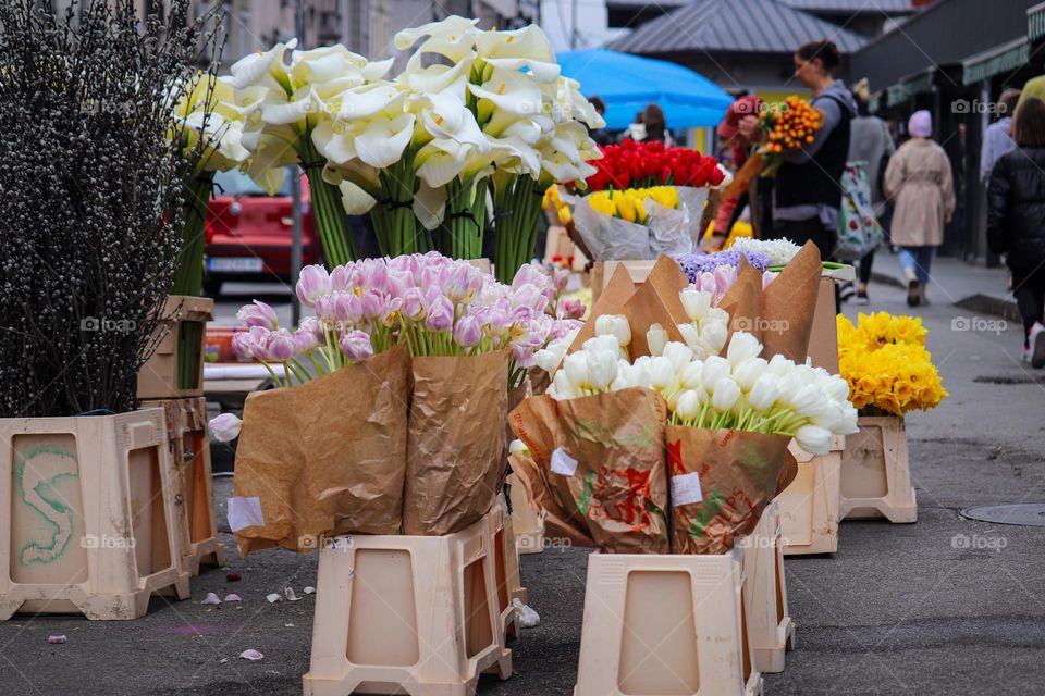 Spring floweres