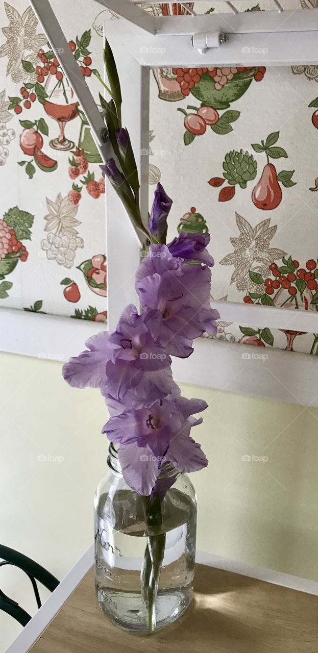 Purple gladiolus in mason jar with wallpaper background 