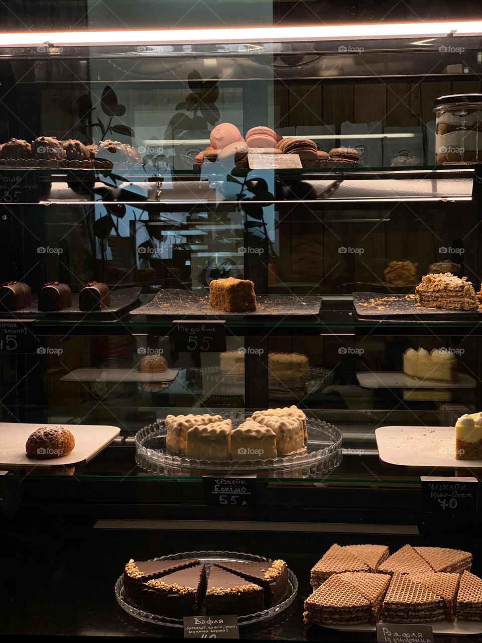 my favorite showcase😝