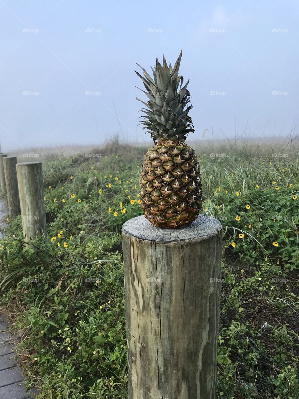 Pineapple on pillar