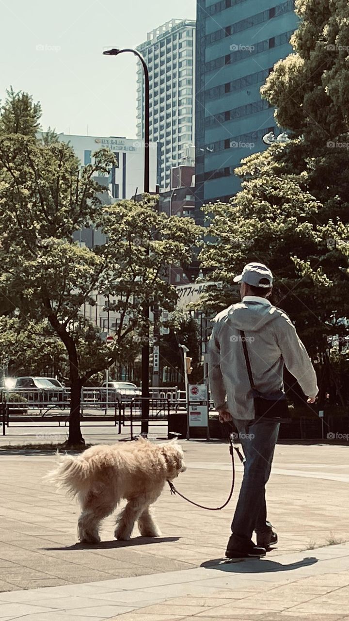 Walking with dog