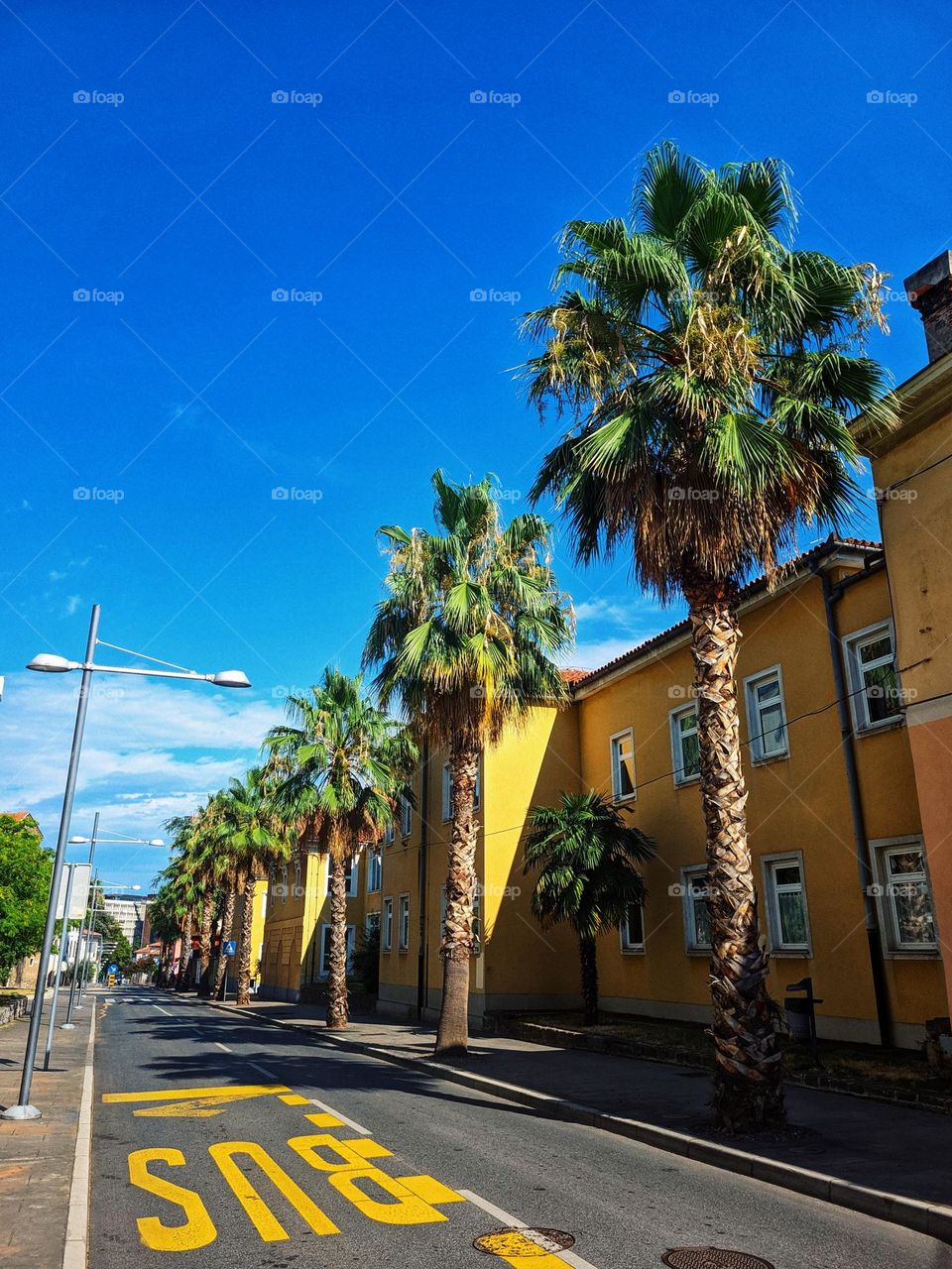 Sunset in the city at the Adriatic coast,  sea. Palms trees at the beach