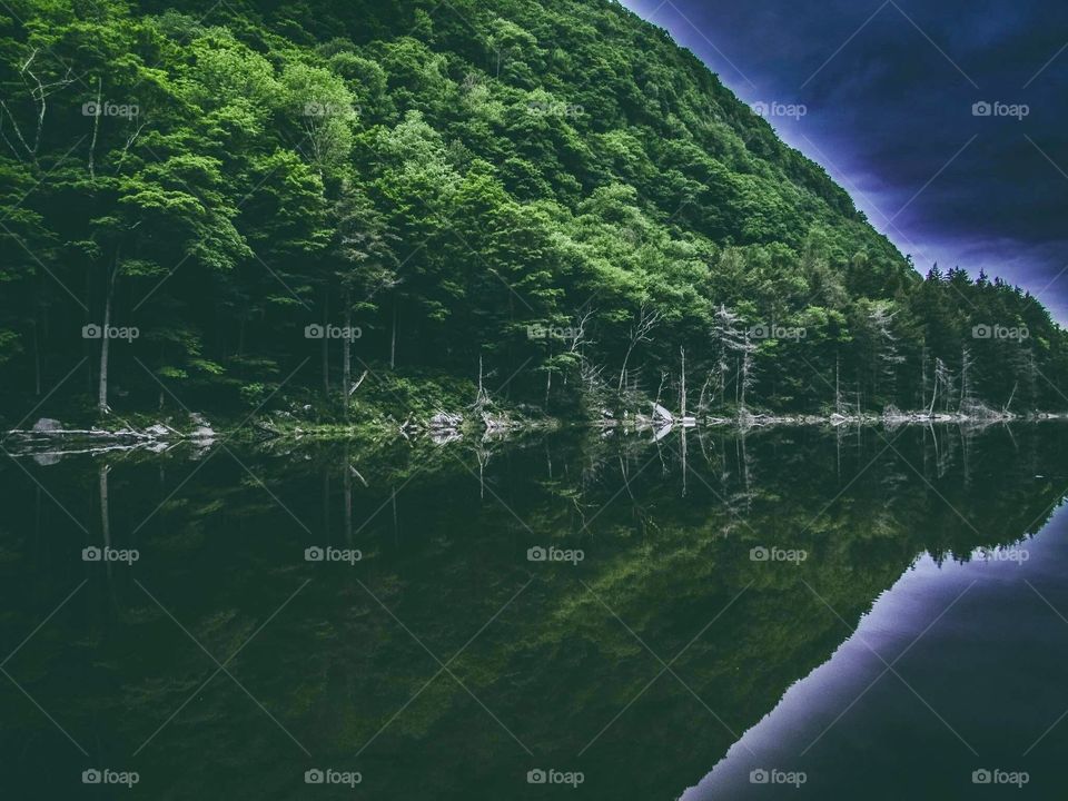 Devils Tombstone New York, wildlife, lake, grass, nature, landscape, peaceful, road, clear water, water, like mirror, trees, mountains,