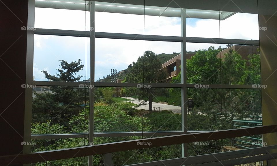 window to green. school view