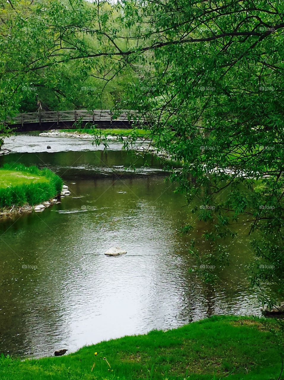 Nature. Wooden Bridge