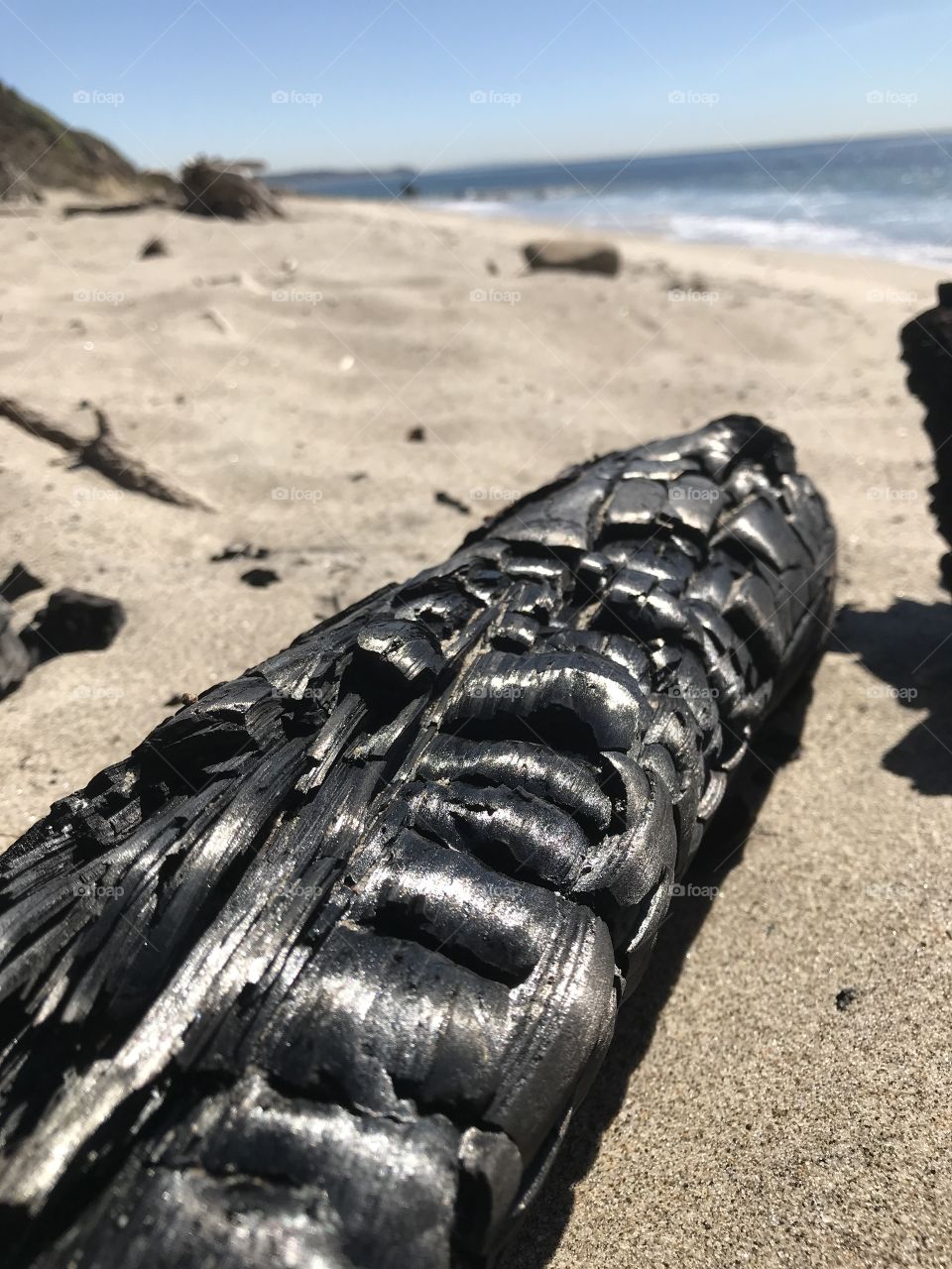 Wood charcoal on the beaches of Malibu California