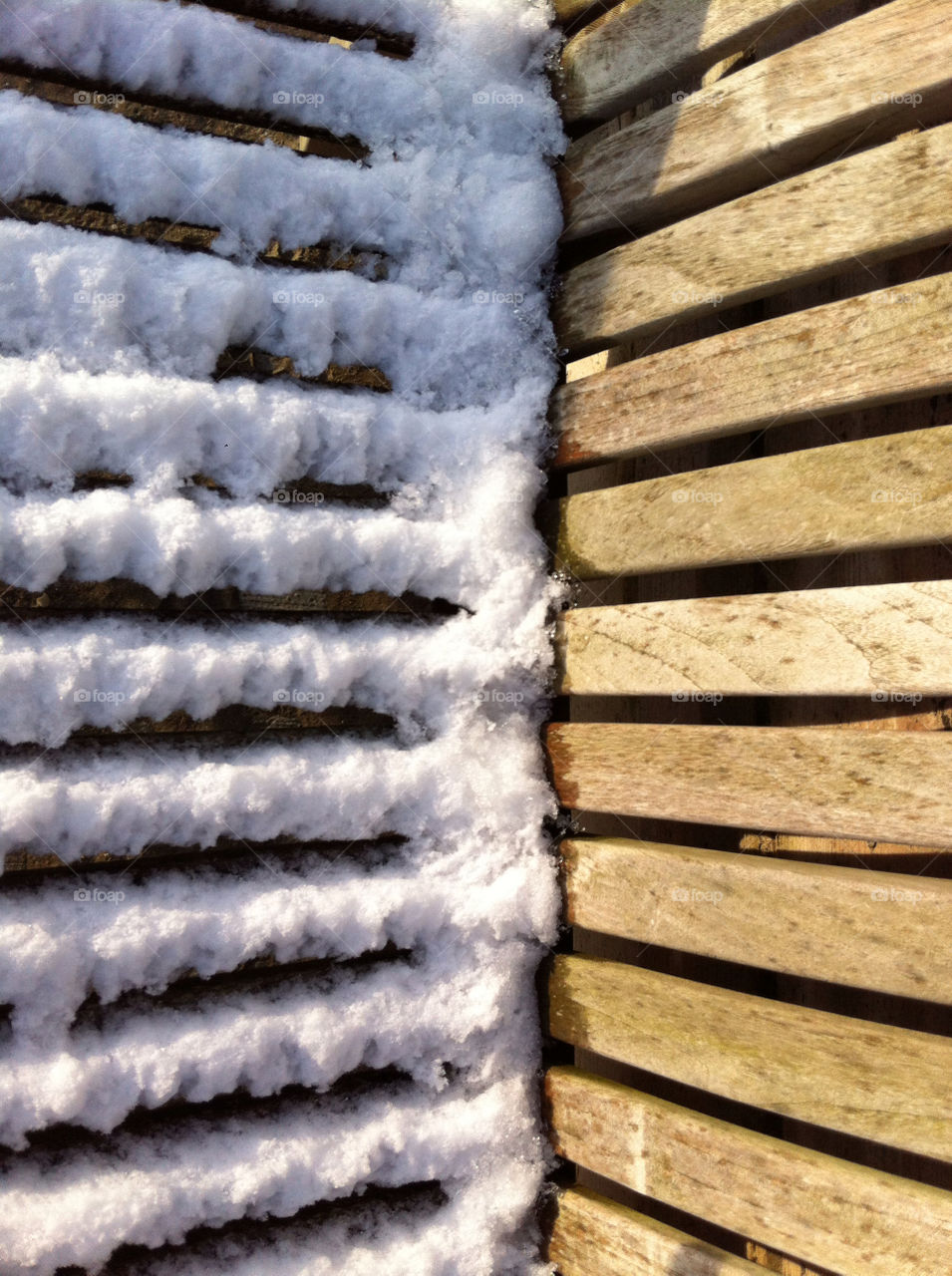 Snow on a bench