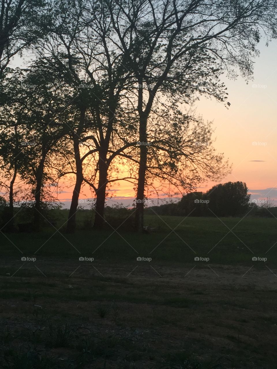 Evening in the country 