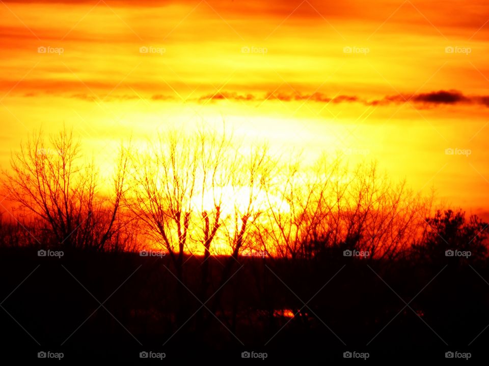 Sun down behind the trees 