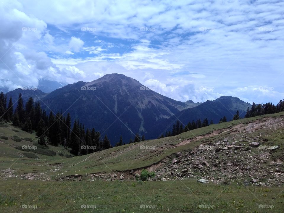 mountains in summer