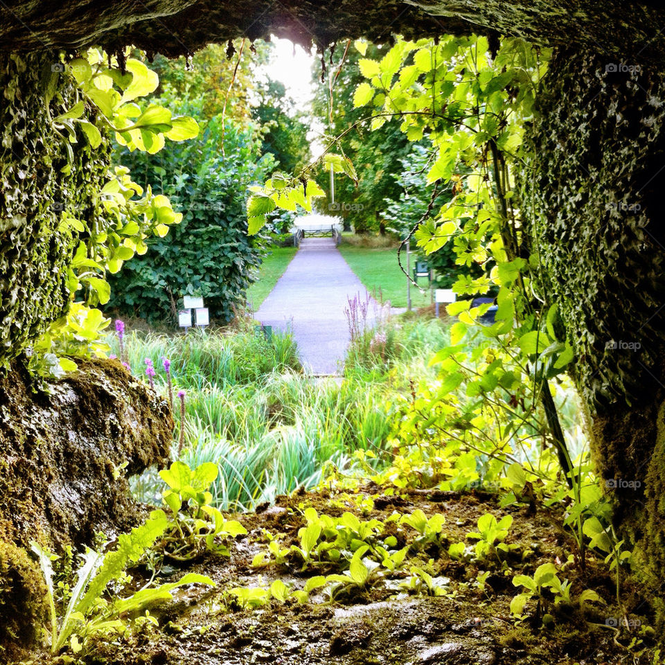 garden park path secret by percypiglet
