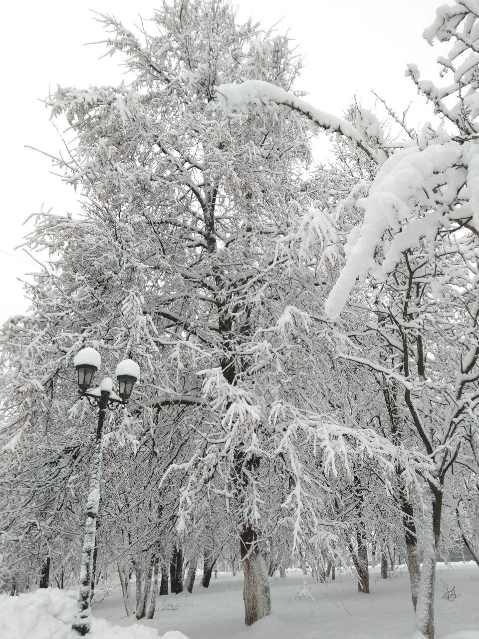 New portion of snow in the Moscow region