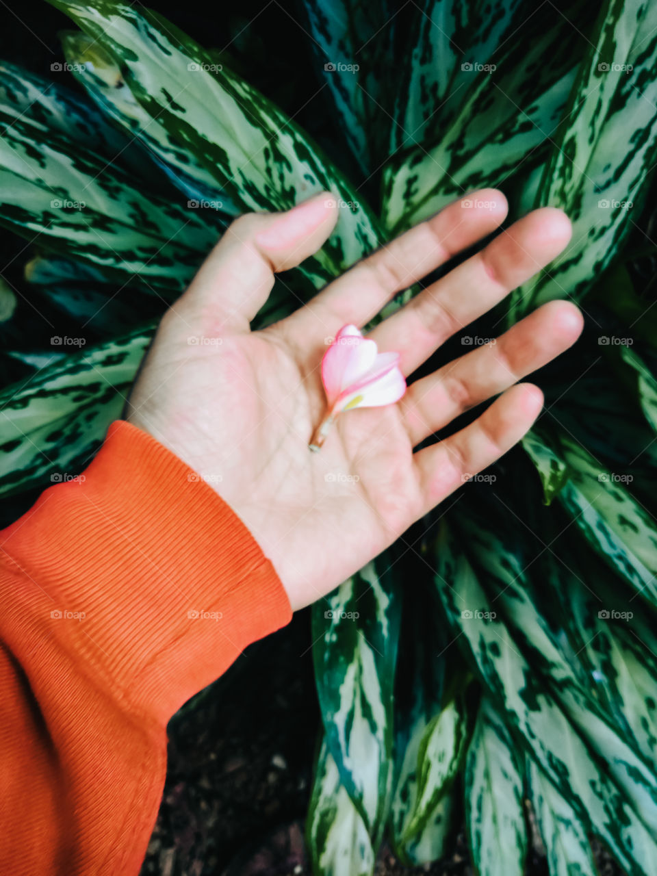 Known for relationships, uneven feelings, someone must feel more than if love is tired, let go ''