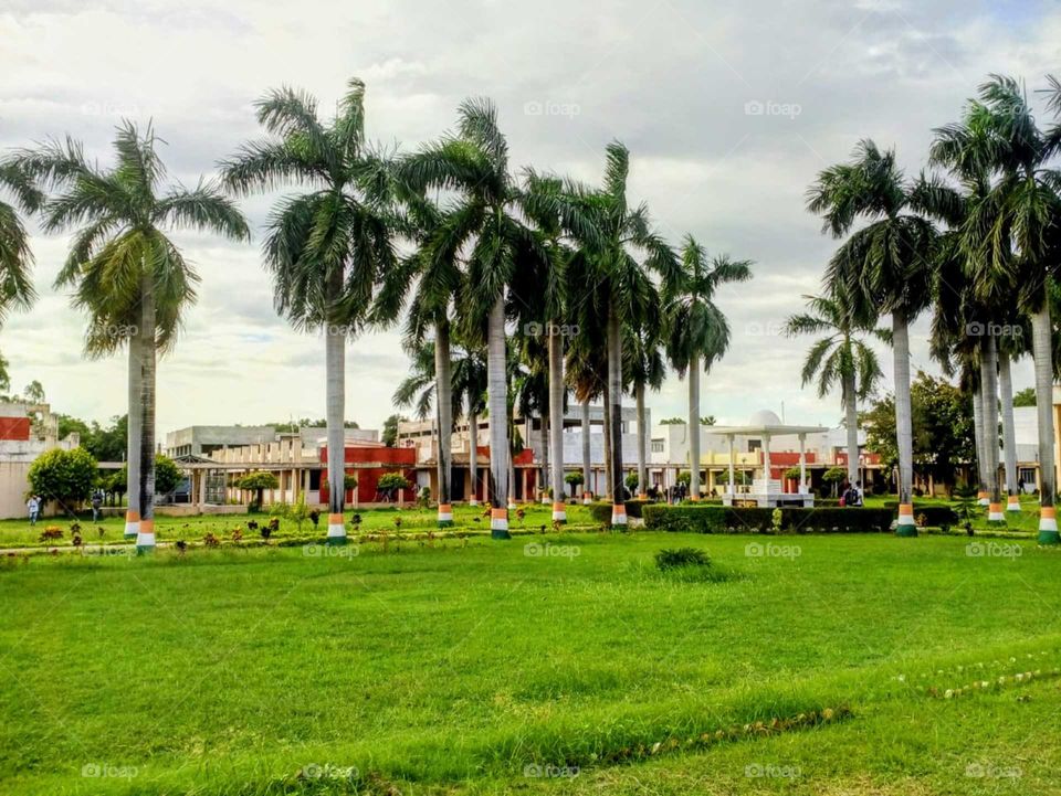 Nature is a portrait of the perfect combination of beauty and peace.