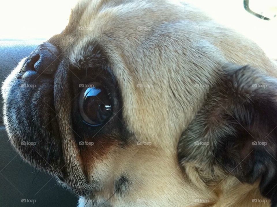 From rescued to rescuing others