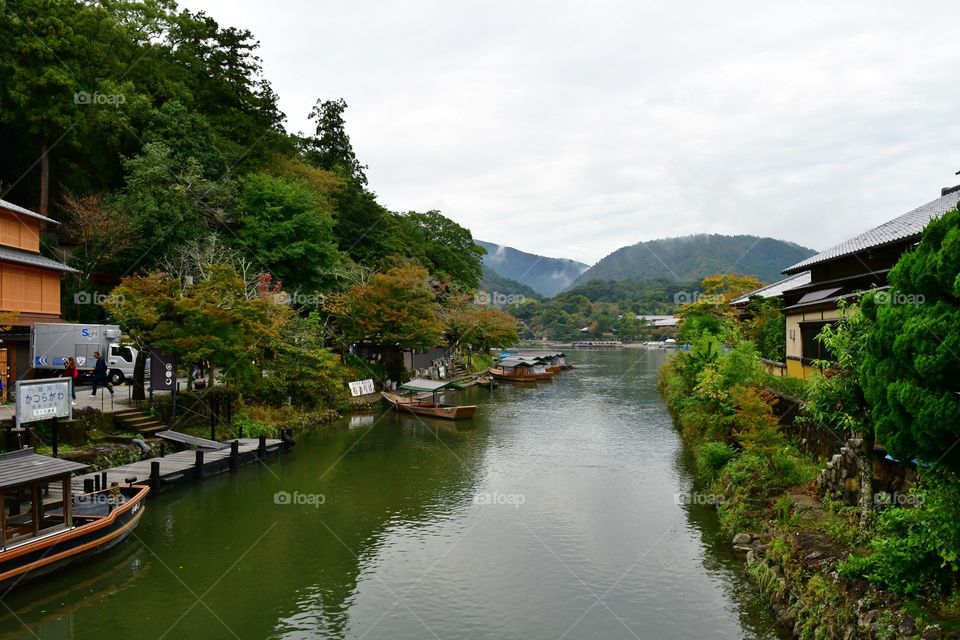 Houses by the river