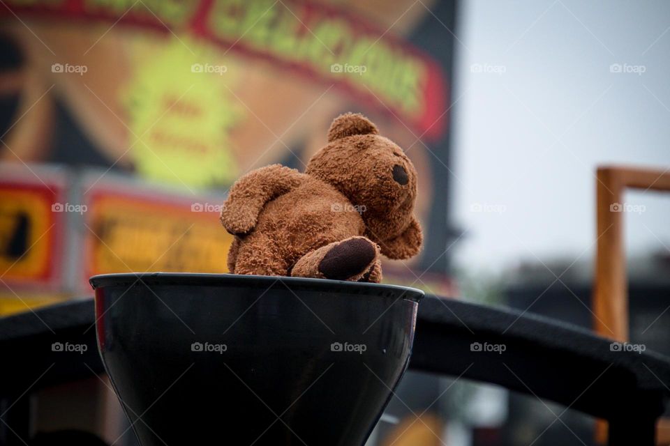 Forgotten teddy bear