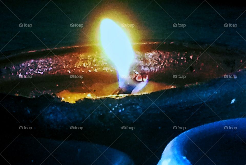 light of joy. light of joy