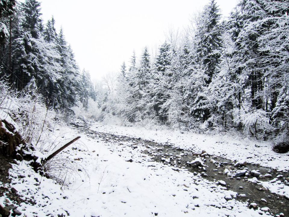 Winter in Bavaria