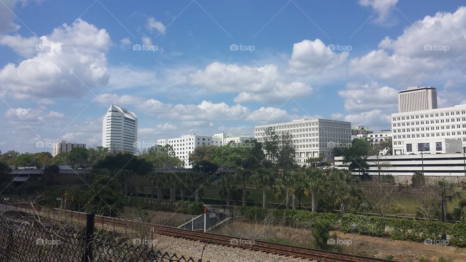 skyline, Tallahassee, FL