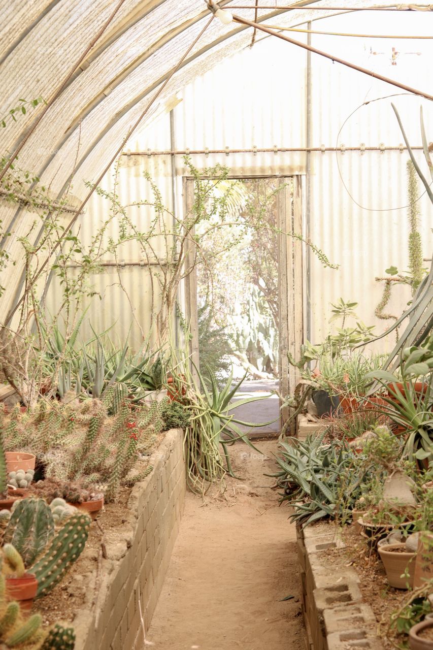 Cute little greenhouse in Palm Springs. 