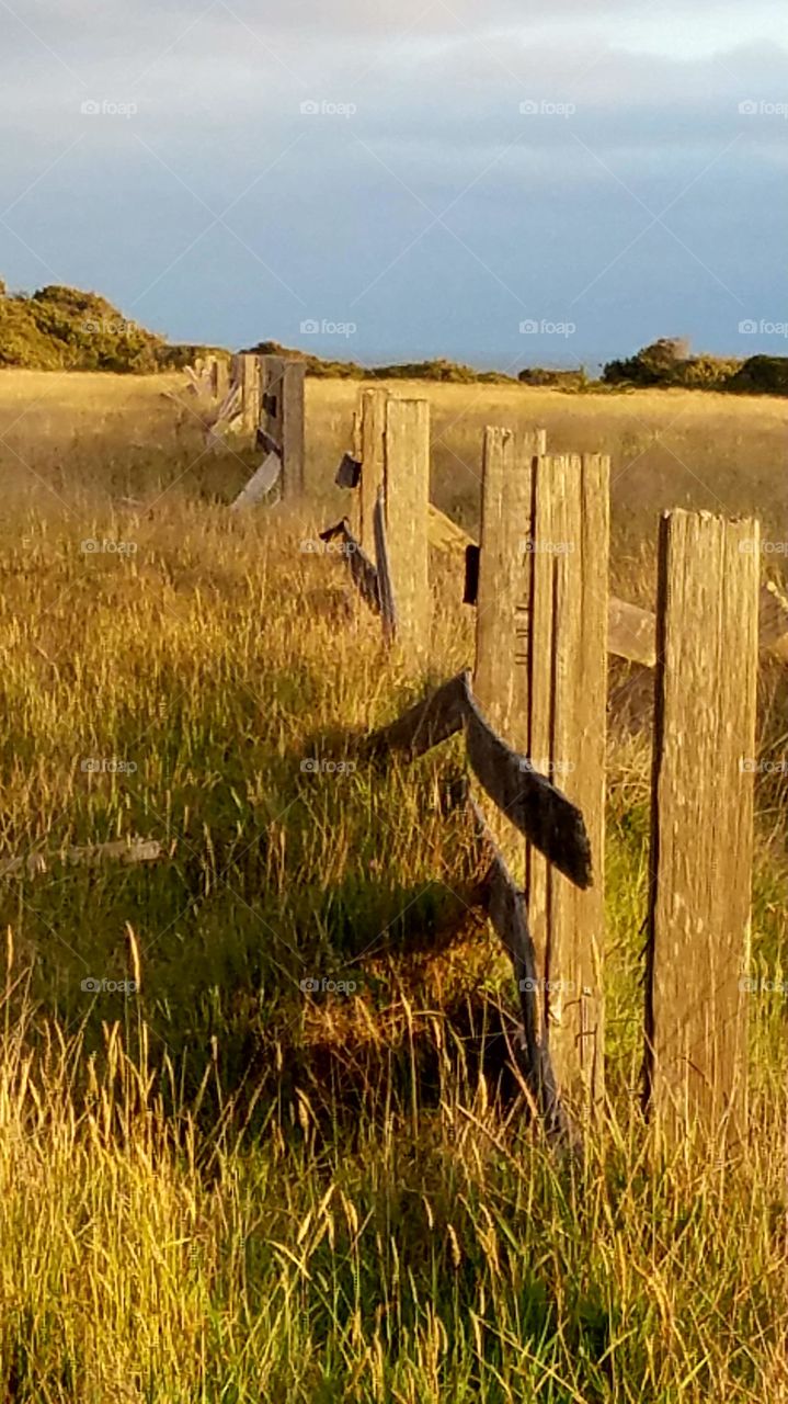 point Cabrillo,  fort bragg