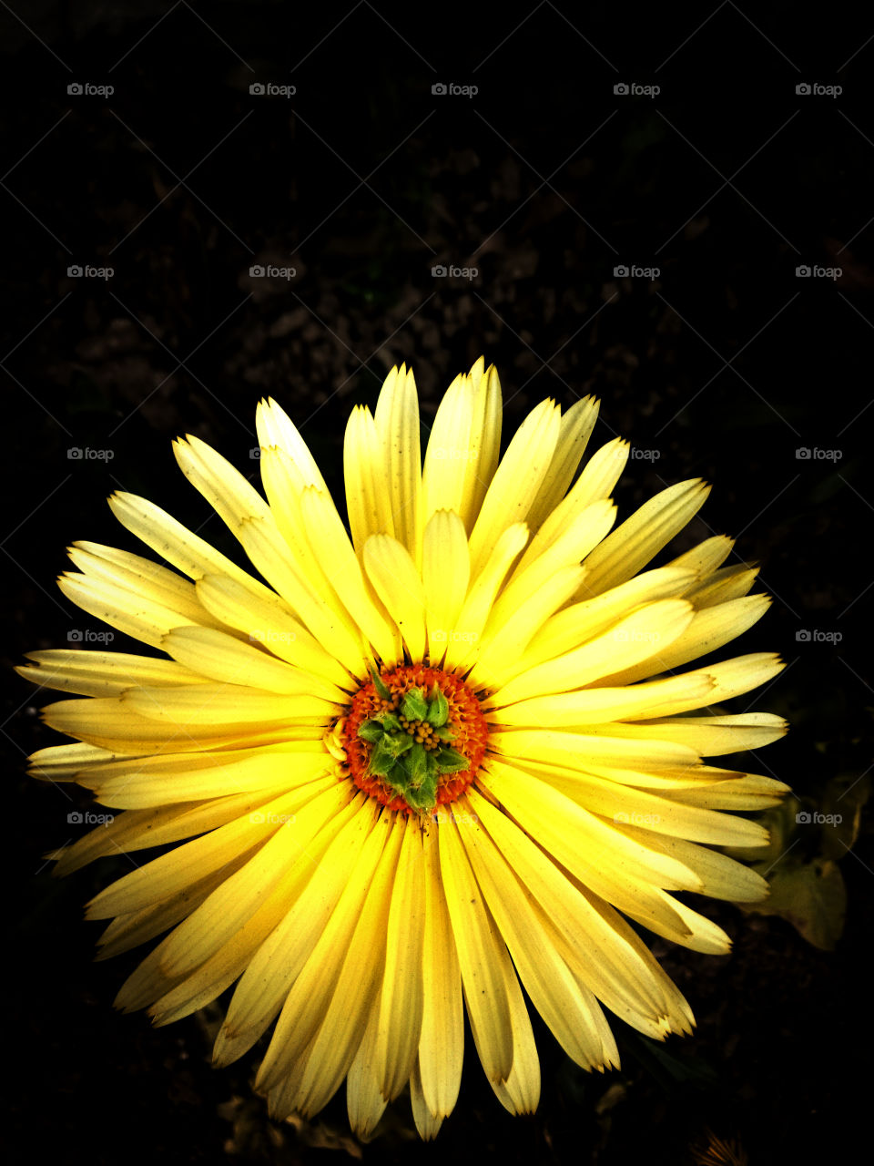 nature added all the colour, just discover them