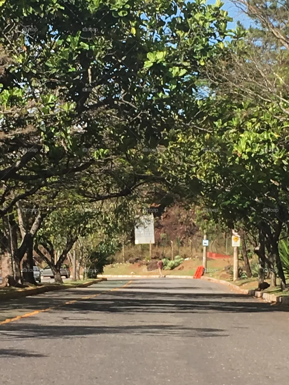 Rua