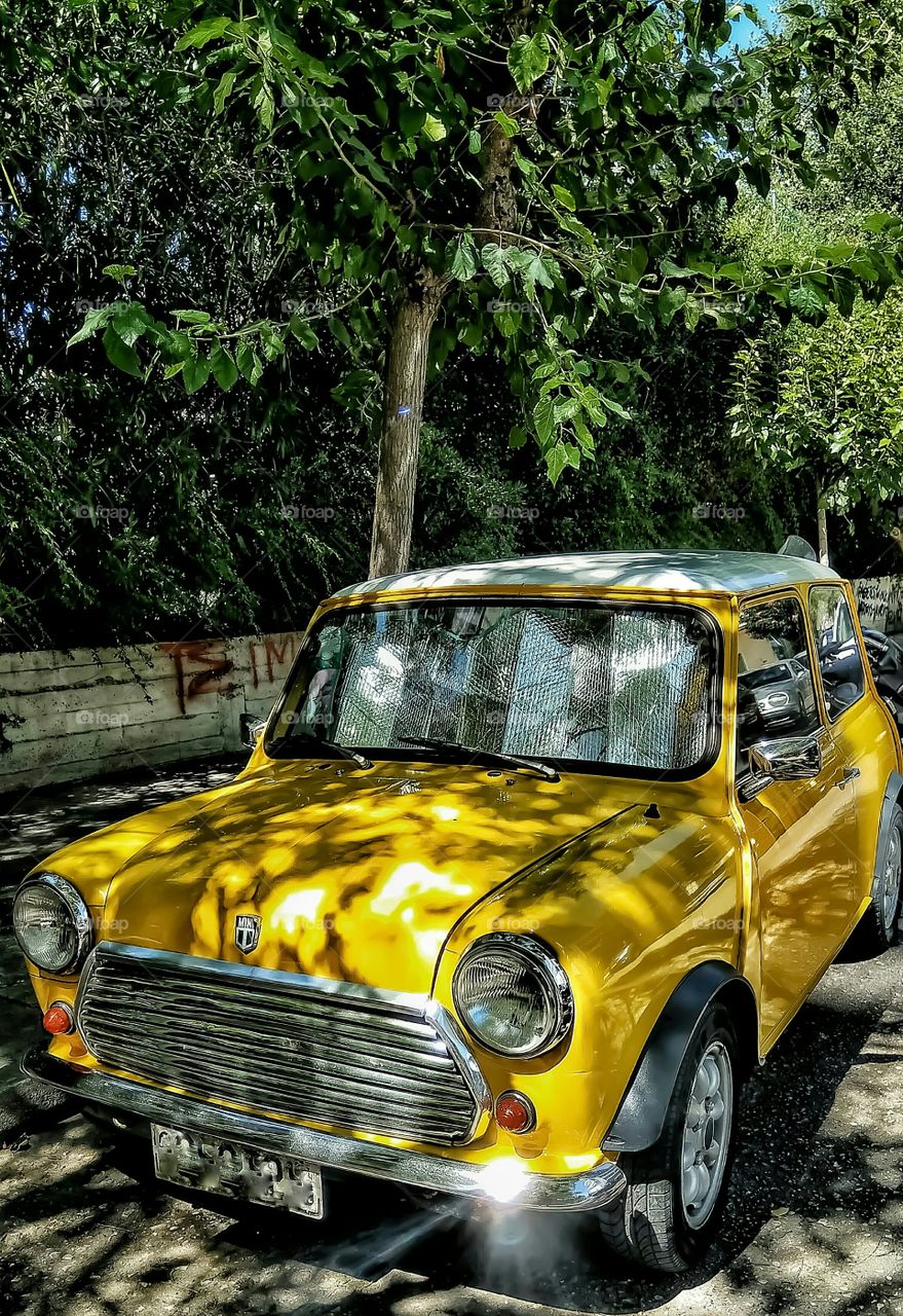 A tree casts alien shadows under a noon sun on a yellow mini cooper