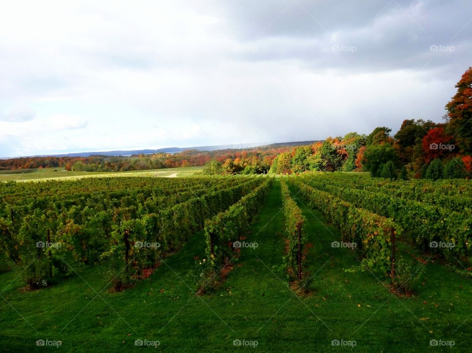 Symmetry Everywhere in