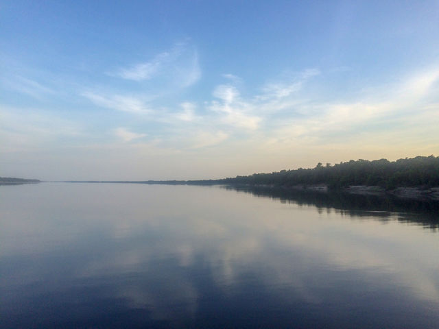 Reflection 