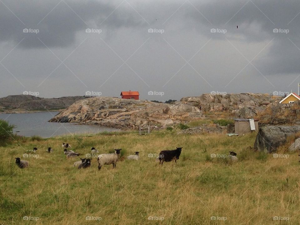 Storm and thunder is coming