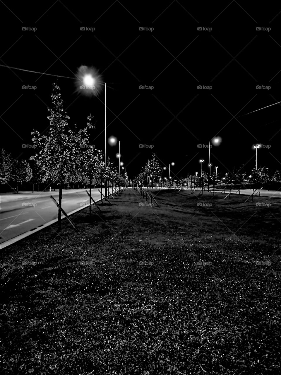 black and white landscape