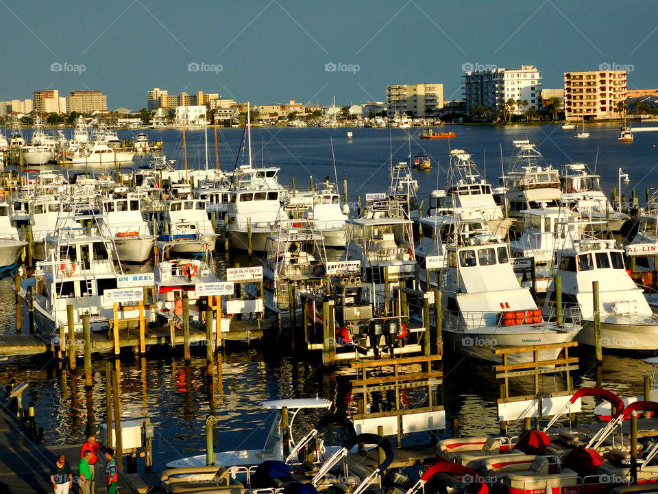 Boats moored at harbor 