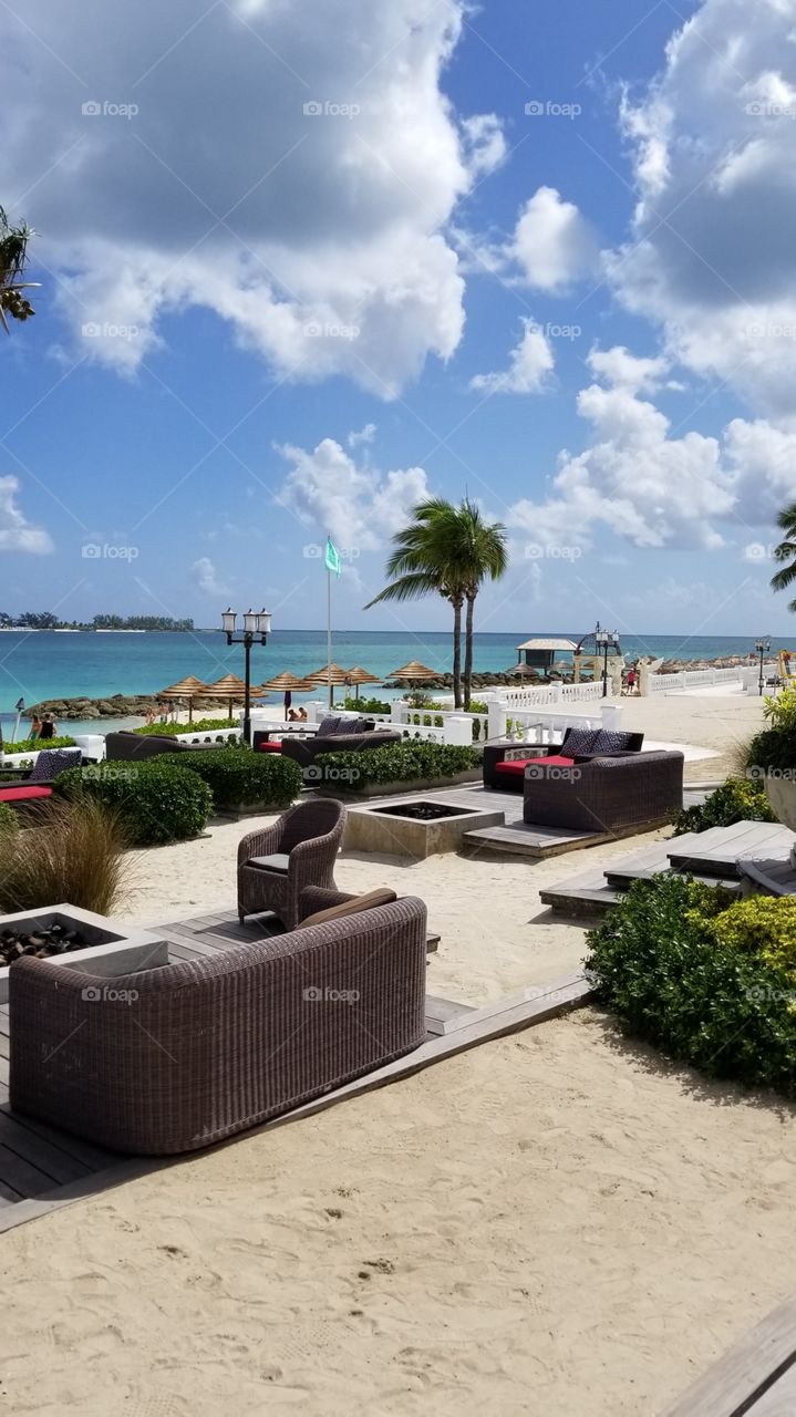 Relaxing In The Warmth